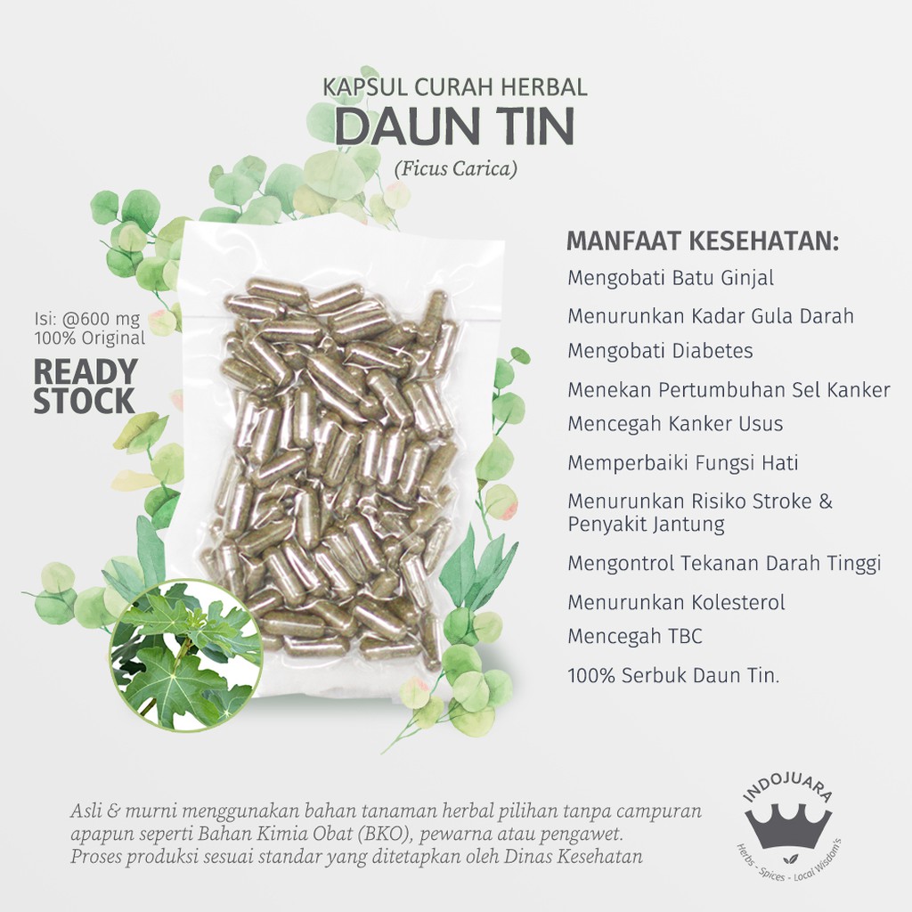 DAUN TIN 100 Kapsul Curah Herbal Tinggi Serat Hipertensi Kekebalan Tubuh Diabetes Batu Ginjal 600mg