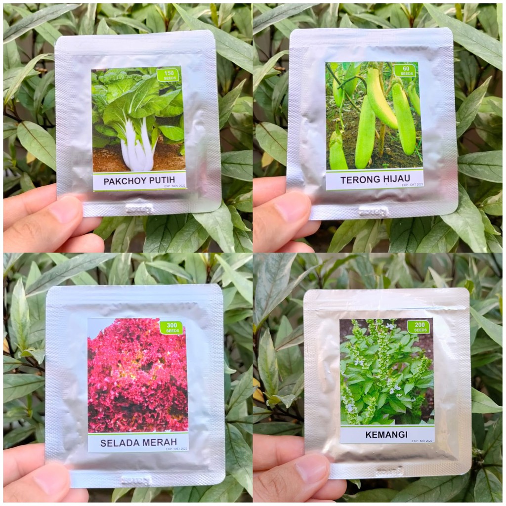 benih sayur dan benih buah repack seed - ANEKA RS - benih sayuran - benih cabe - benih selada - benih tomat - benih terong - benih labu - benih mentimun - benih wortel