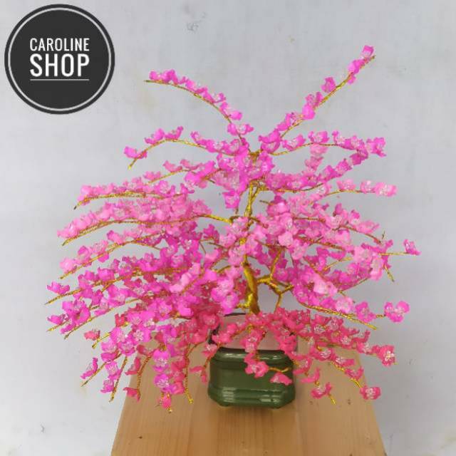 Bonsai sakura