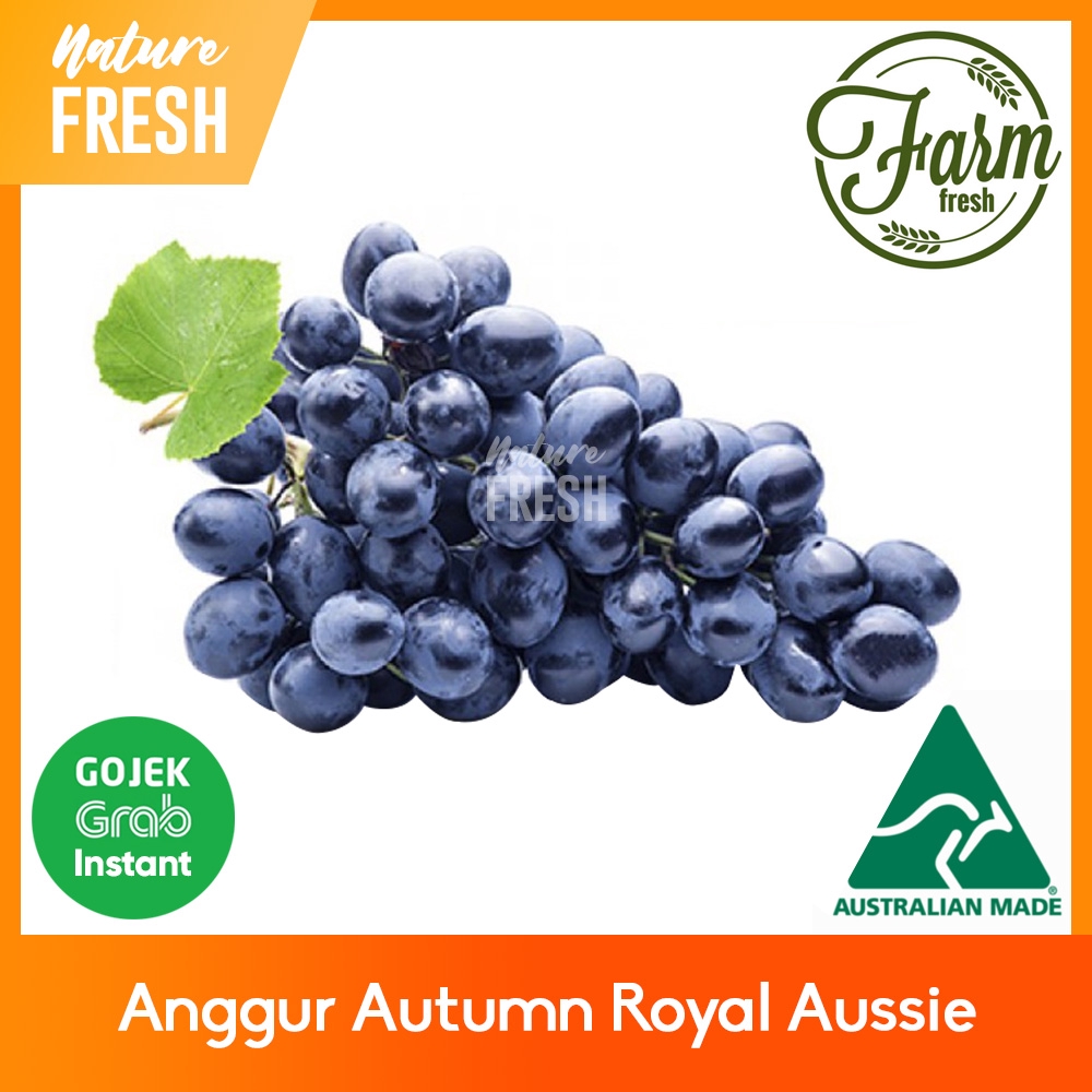 Anggur Hitam Autumn Tanpa Biji Buah Segar Buah Anggur Import Nature Fresh Fresh Autumn Grapes Shopee Indonesia