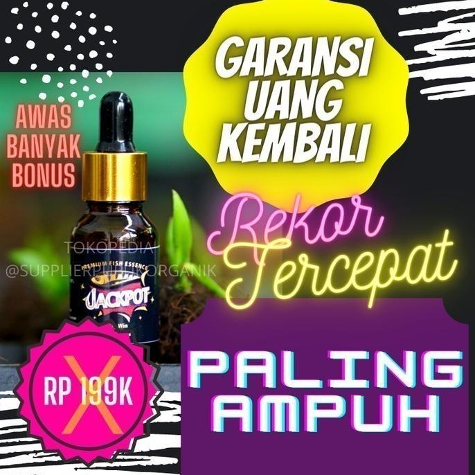 ONSALE Essen Ikan Nila Lumut ,Essen Ikan Nila Umpan Lumut, Tercepat