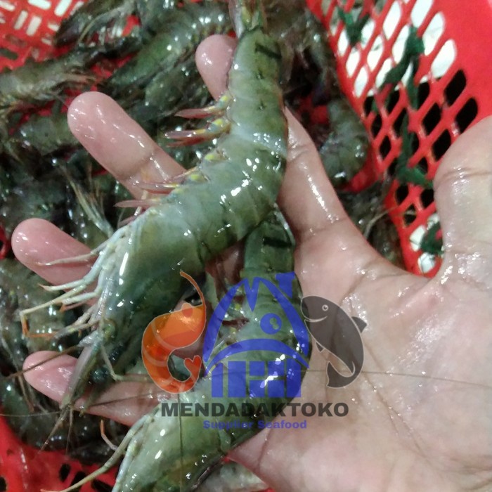 

udang tiger / pancet / windu fresh uk 30-35 - 1kg