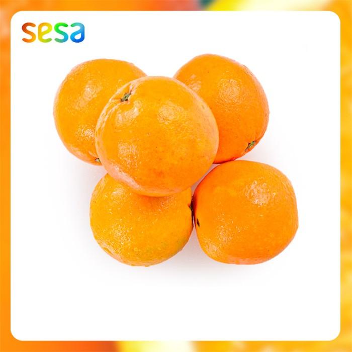 

Jeruk Navel per 1 Kg Best Seller