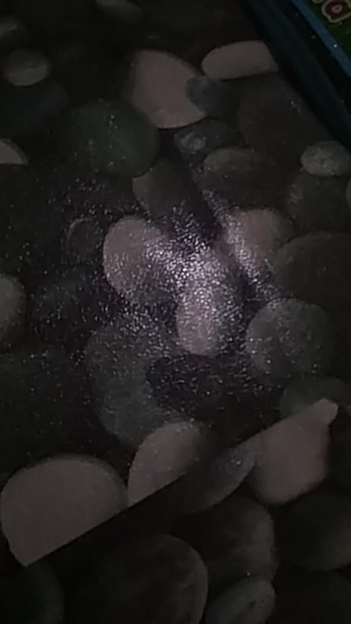 Kemeja Batik Danabrata Lengan Panjang Motif Mega Hijau Size M L Xl Xxl Model Regular