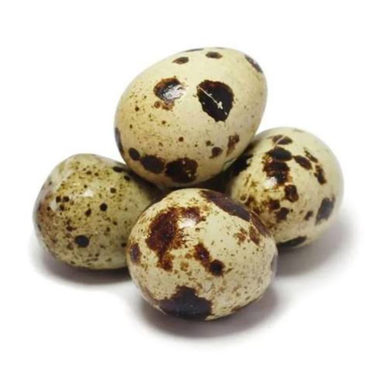

telur puyuh asli pangandran 40 butir
