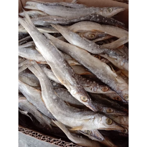 

ikan asin tunul 250 gram asli cilacap