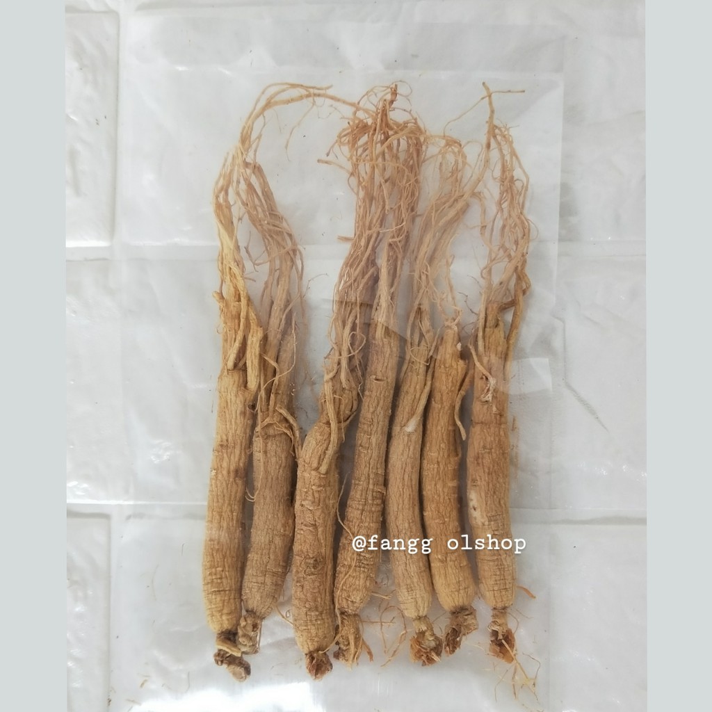 

Akar Ginseng Utuh Cina Ren Shen Ren Sen