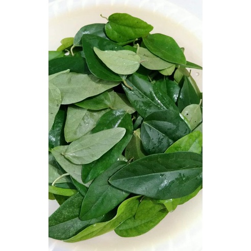 

DAUN CINCAU RAMBAT SEGAR CINCAU JELY 250 GR