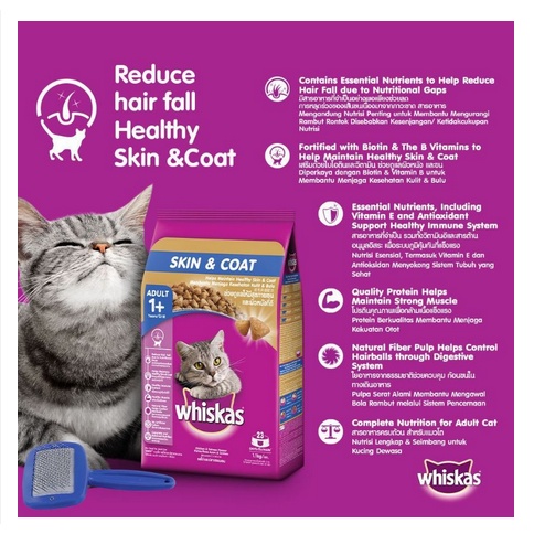 WHISKAS ADULT 1+ SKIN AND COAT, INDOOR 450 GRAM MAKANAN KUCING DRY FOOD