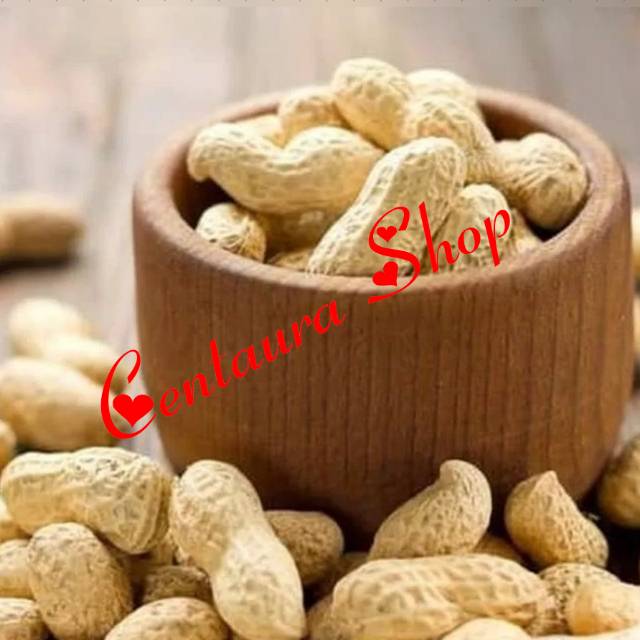 

Kacang Kulit Matang Renyah Gurih Siap Makan Pilihan 1kg