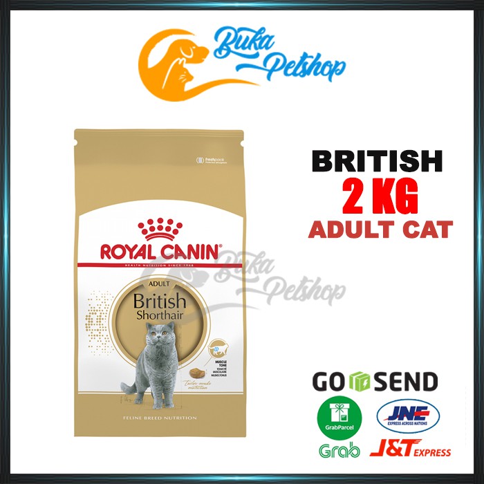 ROYAL CANIN British Shorhair Adult 2kg