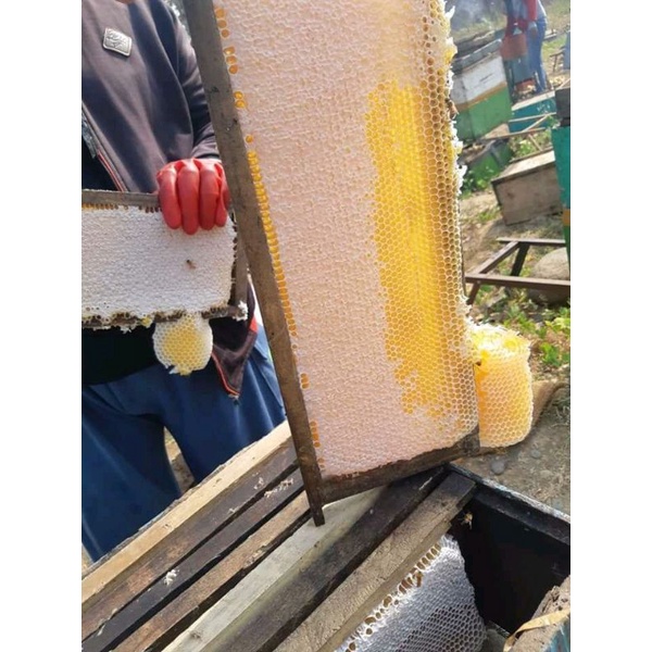 

Madu Sarang 500gram dan Murni Sangat Murni