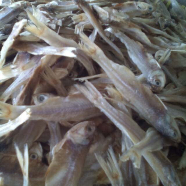 

IKAN ASIN (Bada galagah)