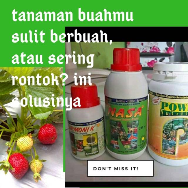 Jual Pupuk Pelebat Buah Dan Anti Rontok | Shopee Indonesia