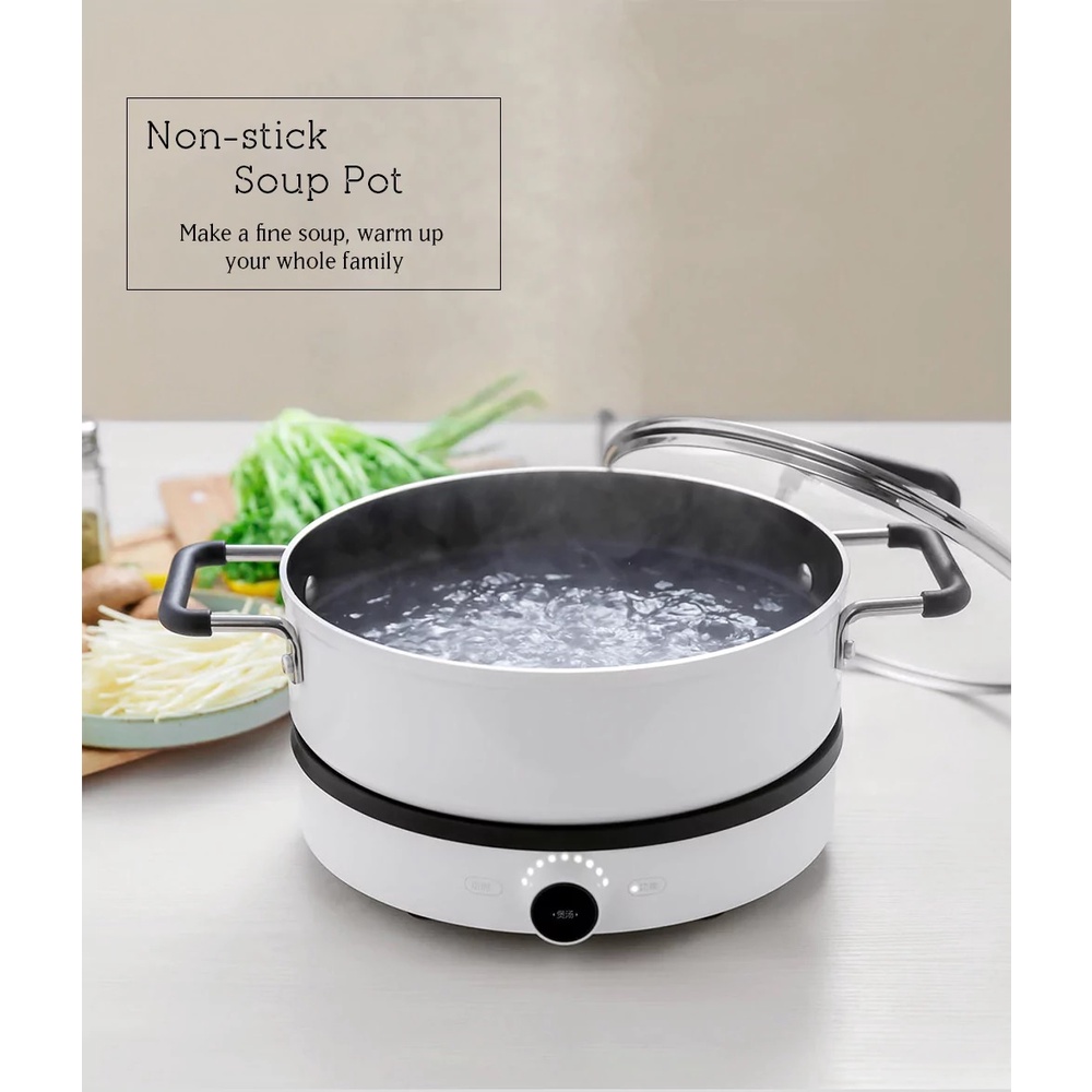 ZHIWU GJT02CM - Non-Stick Stock Pot with Lid - 4L Capacity