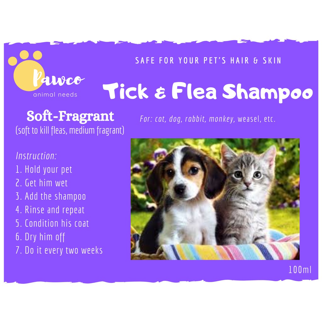 dog grooming for fleas