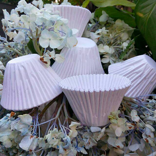 100pcs Cup roti kukus panjang putih