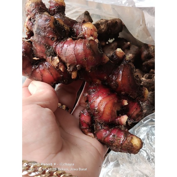 

jahe merah 1kg,bersih sudah di cuci
