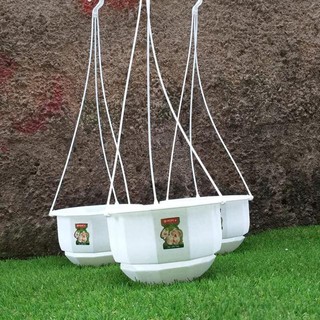  pot  bunga gantung  gardenia no 08 lionstar 22cm warna putih 