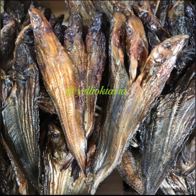 

Ikan Saleis