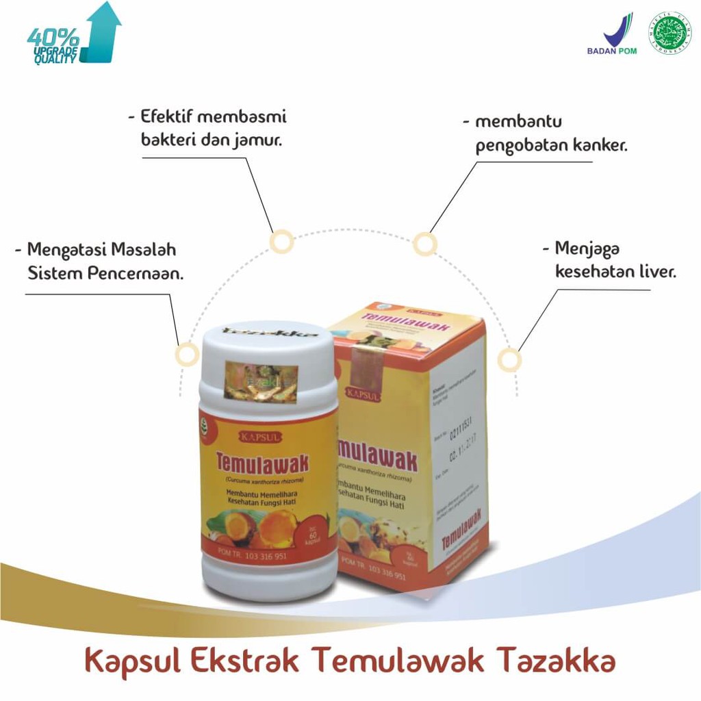 ORIGINAL - 𝐄𝐊𝐒𝐓𝐑𝐀𝐊 𝐓𝐄𝐌𝐔𝐋𝐀𝐖𝐀𝐊 Kapsul - Curcuma xanthorrhiza  Atasi Masalah Pencernaan Obat Antiradang