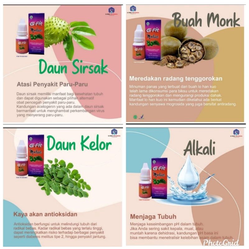 

G Fit estrak daun sirsak