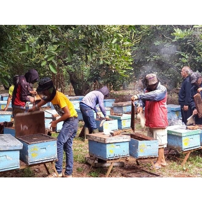 

madu- madu asli murni 100% - madu organik - 0.4kg -madu.