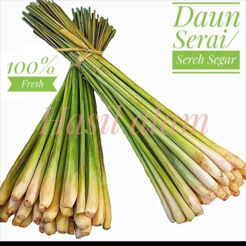 

Daun sereh serai 500gr 1kg
