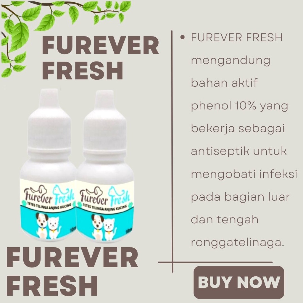 Obat Tetes Telinga Infeksi Iritasi Ear Anjing Kucing Super Ampuh Aman Untuk Kitten FEZONE