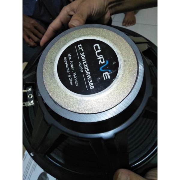 speaker curve woofer 12inch