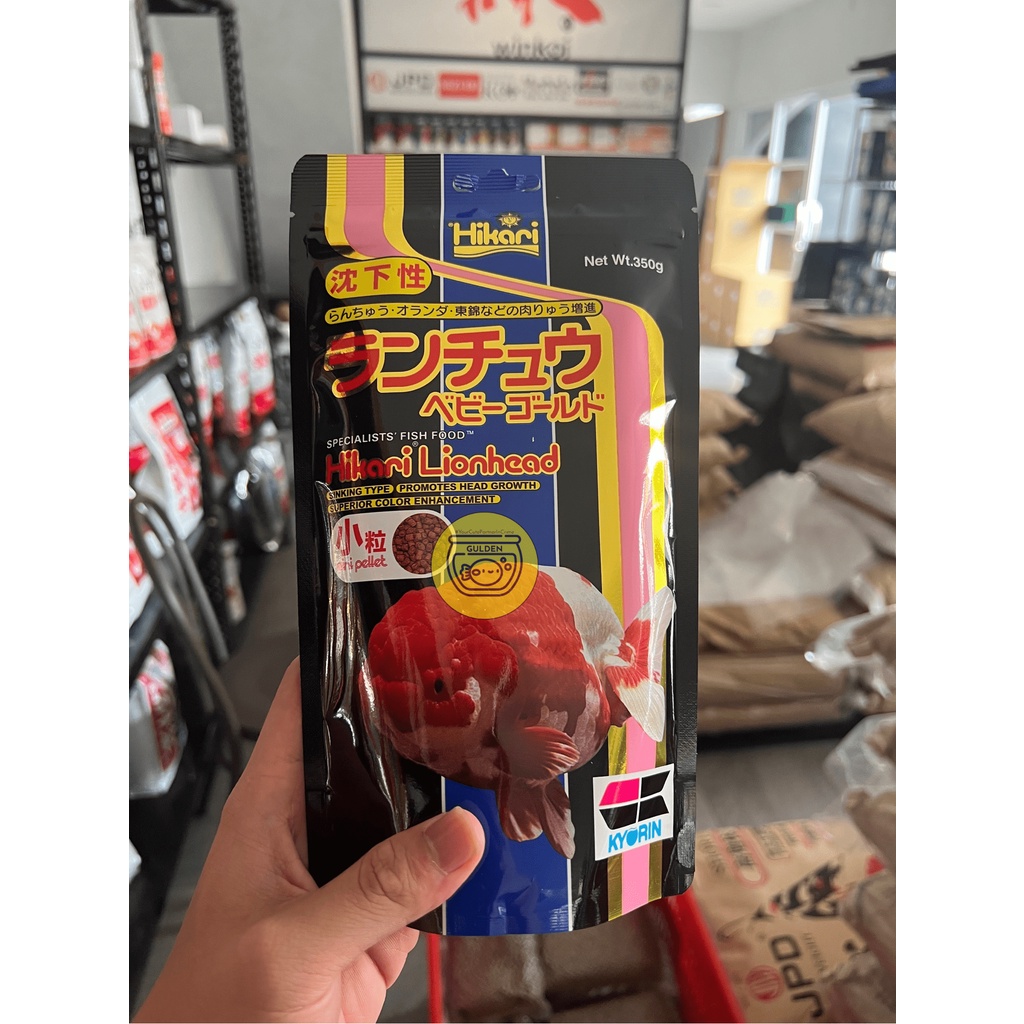 HIKARI LIONHEAD Pakan Ikan Koki Ranchu Lionchu 350/100 GR