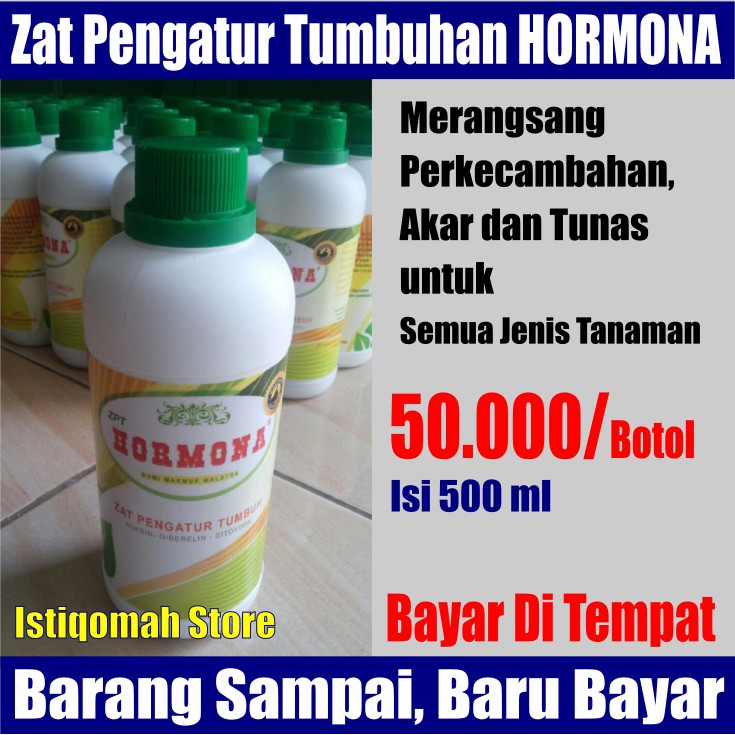 ZPT HORMONA isi 500ml Merangsang Perkecambahan, Akar dan Tunas untuk Semua Jenis Tanaman