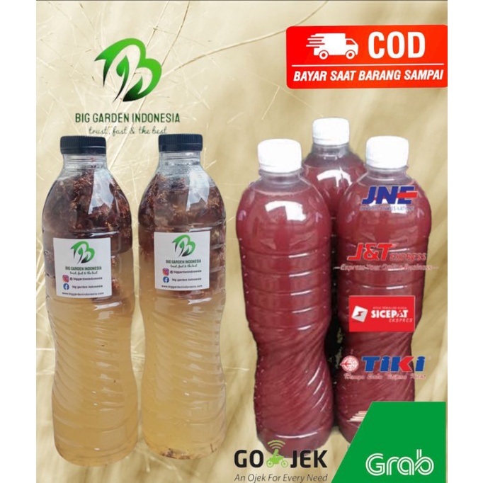 Jamur Biang Jakaba POC 600 ml plus POC PSB merah 600 ml Pupuk Organik