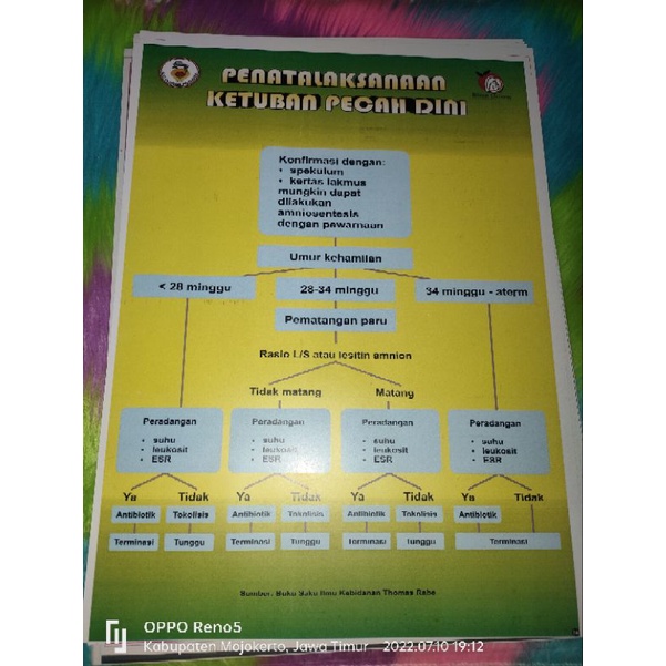 

Poster Ketuban Pecah Dini