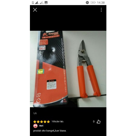 GUNTING PRUNING TANAMAN STEK CANGKOK OKULASI