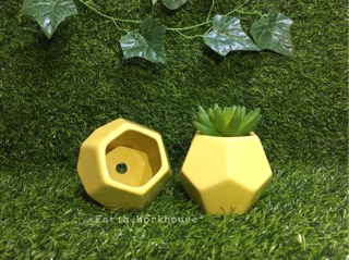 Pot keramik hexa pot kaktus pot sukulen keramik Pot keramik hexa pot kaktus pot sukulen keramik