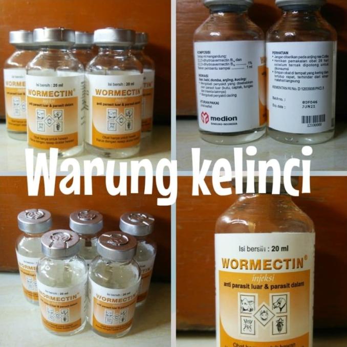 Wormectin obat jamur scabies suntik untuk kucing anjing kelinci dll