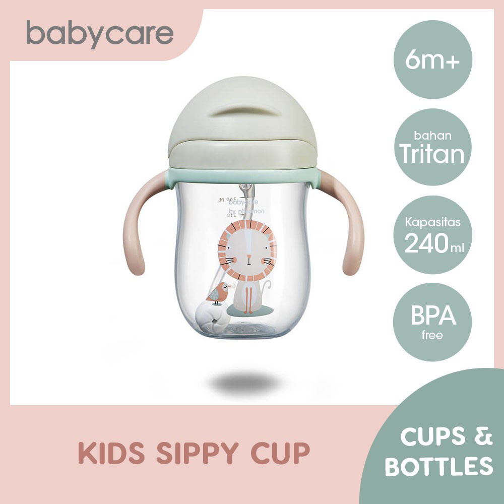 Babycare Kids Sippy Cup for 6m+ (240ml) A012-240A