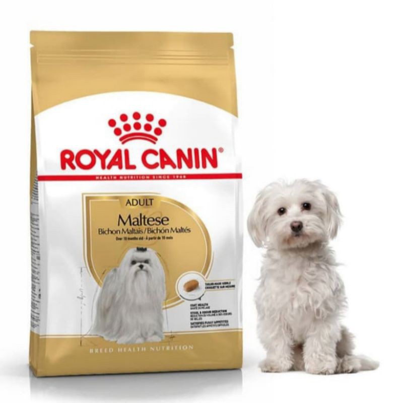 PROMO ROYAL CANIN MALTESE ADULT 1,5KG