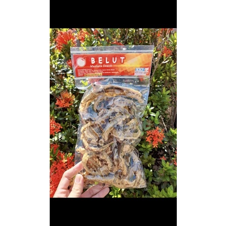 

Cemilan/Snack/Oleh-oleh enak , kripik belut crispy