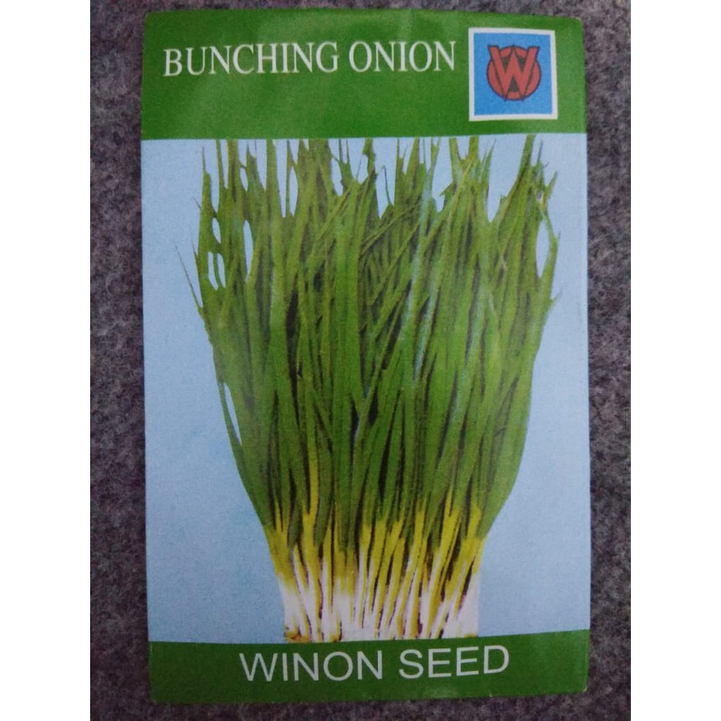 Benih Daun Bawang Winon Seed (Bunching Onion) OW