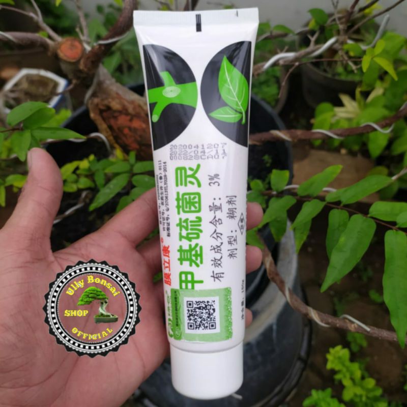 SALEP KAMBIUM HEALING CUT PASTE 150ML IMPORT BERKUALITAS