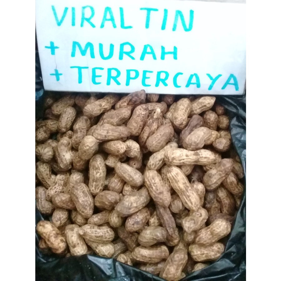 

kacang kulit mentah segar per 100 gr