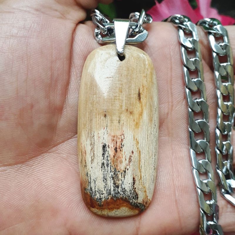 Liontin Fosil Kelor Merah Putih Hitam Coklat Motif Gambar Tanaman Rantai Kalung Stainless Steel
