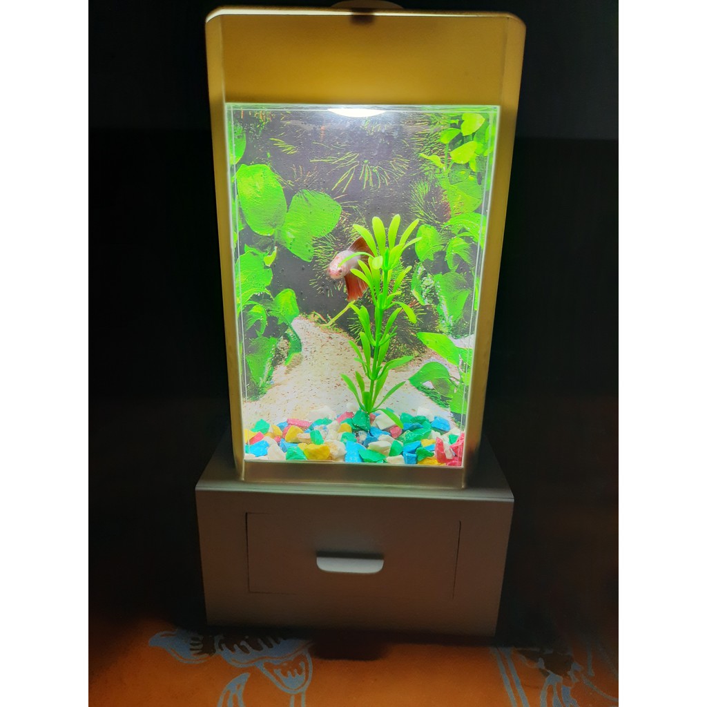 aquarium mini led