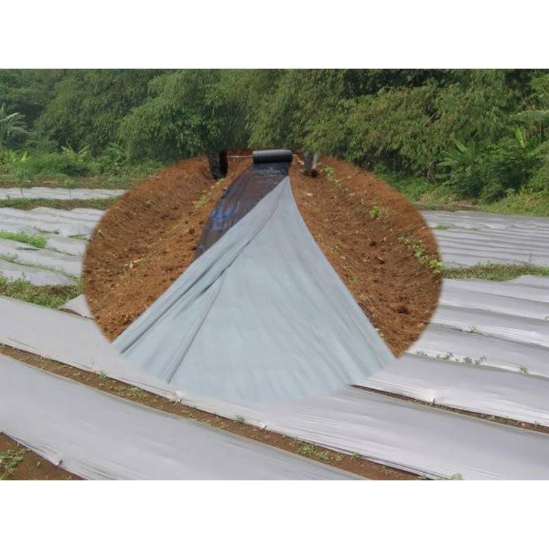 PLASTIK HITAM PERAK LEBAR 250 CM UNTUK BEDENGAN KEMASAN 1 KG