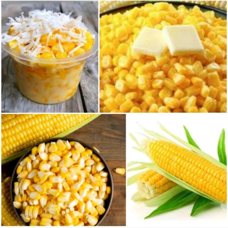 

Jagung manis pipil madu berkualitas1kg