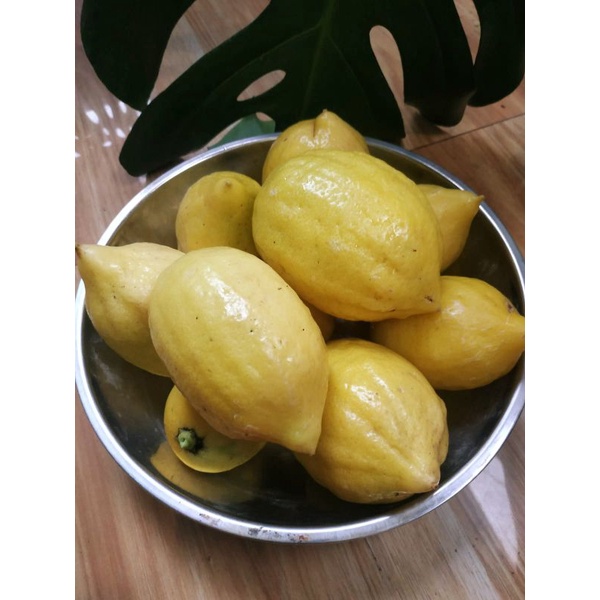 

Lemon Lokal Organik 1kg
