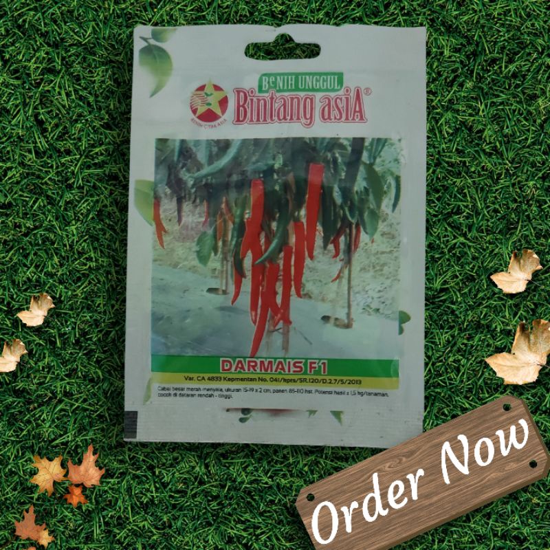 BENIH  CABE / CABAI MERAH BESAR DARMAIS F1