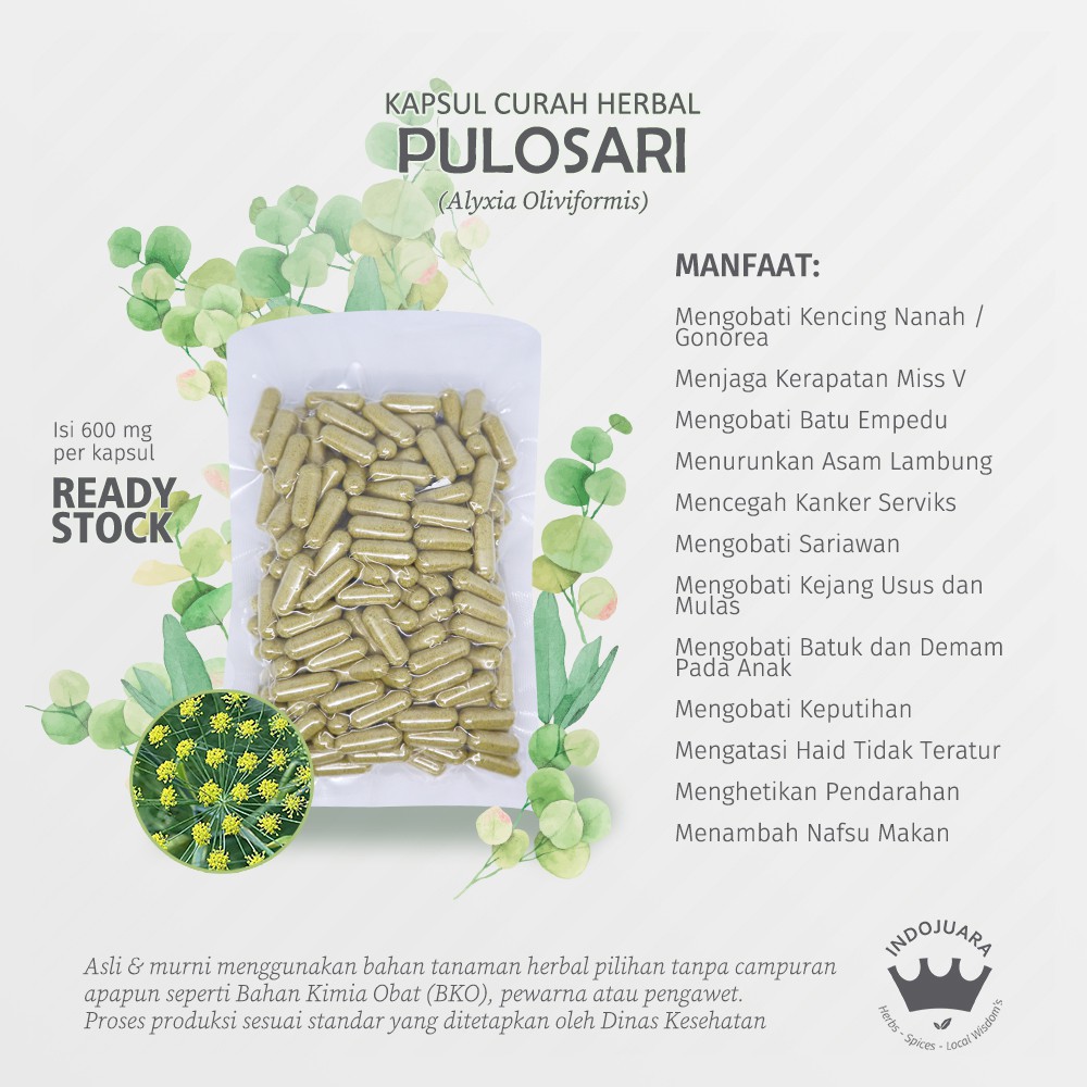 

PULOSARI 100 Kapsul Curah Herbal Gatal Batu Empedu Keputihan Bau Mulut